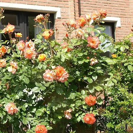 Ferienwohnung Carpe Diem *
